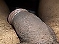 Filename=e83492b8.jpg
Filesize=61KB
Dimensions=375x375
Date added=Jan 14, 2014 e83492b8.jpg