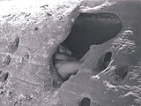 fc43ec36.JPG