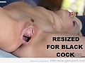 Filename=373db72a.jpg
Filesize=28KB
Dimensions=500x363
Date added=Jan 16, 2014 373db72a.jpg