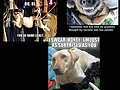 Filename=8e38a214.jpg
Filesize=554KB
Dimensions=1045x1067
Date added=Jan 20, 2014 8e38a214.jpg