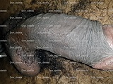 0ae213a2.jpg
