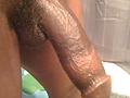 c7893339.jpg