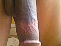 c9f2ee55.jpg