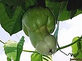 21cf1fb8.jpg