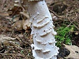 2670bca6.jpg