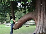 2c7a8535.jpg