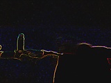 b29838d9.jpg