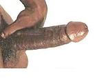 b276f950.jpg