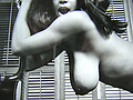 Filename=6dfa365d.jpg
Filesize=432KB
Dimensions=1200x1493
Date added=Mar 15, 2014 6dfa365d.jpg