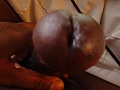 Filename=5d777cce.jpg
Filesize=445KB
Dimensions=1536x2048
Date added=Mar 16, 2014 5d777cce.jpg