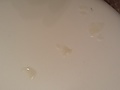 Filename=5d0c6839.jpg
Filesize=2072KB
Dimensions=4096x2304
Date added=Mar 21, 2014 5d0c6839.jpg