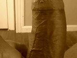 ee49706b.jpg