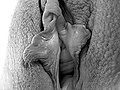Filename=1e14f543.jpg
Filesize=250KB
Dimensions=800x871
Date added=Apr 14, 2014 1e14f543.jpg