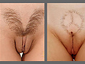 Filename=ce3cb38f.jpg
Filesize=145KB
Dimensions=1200x400
Date added=Apr 16, 2014 ce3cb38f.jpg