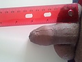 Filename=5f9b0edc.jpg
Filesize=1531KB
Dimensions=2592x1944
Date added=May 08, 2014 5f9b0edc.jpg