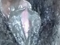 82fb691d.jpg