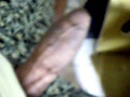 c8e662b8.jpg