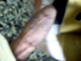 c8e662b8.jpg