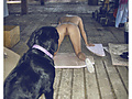 Filename=2ca2d479.jpg
Filesize=303KB
Dimensions=525x701
Date added=May 19, 2014 2ca2d479.jpg
