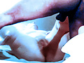 Filename=eb004682.jpg
Filesize=398KB
Dimensions=914x705
Date added=May 27, 2014 eb004682.jpg