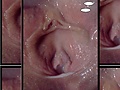 1f95b70d.jpg