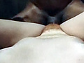 Filename=7330ce31.jpg
Filesize=125KB
Dimensions=625x574
Date added=Jun 12, 2014 7330ce31.jpg