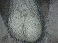 Filename=3dd555b2.jpg
Filesize=37KB
Dimensions=1071x803
Date added=Jul 03, 2014 3dd555b2.jpg