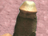 31432bfc.jpg