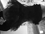 a3640ee1.jpg