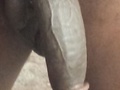 Filename=62ee025f.jpg
Filesize=58KB
Dimensions=381x642
Date added=Aug 02, 2014 62ee025f.jpg