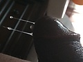 Filename=5e11f18d.jpg
Filesize=809KB
Dimensions=3264x2448
Date added=Aug 04, 2014 5e11f18d.jpg