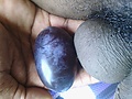 Filename=e528b518.jpg
Filesize=784KB
Dimensions=2592x1944
Date added=Sep 15, 2014 e528b518.jpg