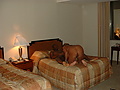 8e76ecf6.JPG