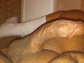 039634eb.jpg