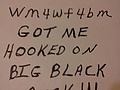 8b668642.jpg