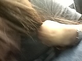 d0f3a5e8.jpg