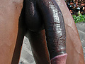 Filename=3345f11c.jpg
Filesize=118KB
Dimensions=554x636
Date added=Dec 08, 2014 3345f11c.jpg