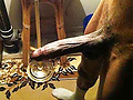 Filename=4ae6e7ab.jpg
Filesize=86KB
Dimensions=500x430
Date added=Dec 09, 2014 4ae6e7ab.jpg