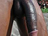 3345f11c.jpg