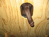 20206b33.jpg