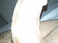 21f0e704.jpg