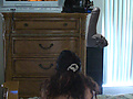 Filename=c8df4fbe.jpg
Filesize=201KB
Dimensions=888x1280
Date added=Feb 19, 2015 c8df4fbe.jpg