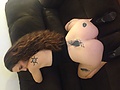 Filename=3a25da4d.jpg
Filesize=1104KB
Dimensions=3264x2448
Date added=Feb 25, 2015 3a25da4d.jpg