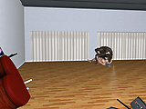 8c6159fe.jpg