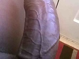 4422c418.jpg