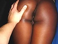38da8421.jpg