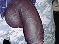 Filename=4a30965a.jpg
Filesize=128KB
Dimensions=500x667
Date added=Apr 14, 2015 4a30965a.jpg