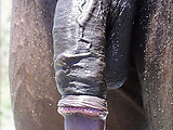 4f9517c5.jpg