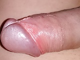 a7742527.jpg