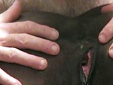 403790cd.jpg